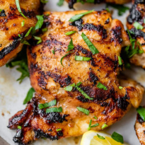 Bulk Grilled Chicken Thigh 16oz