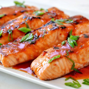 Bulk Salmon 16oz