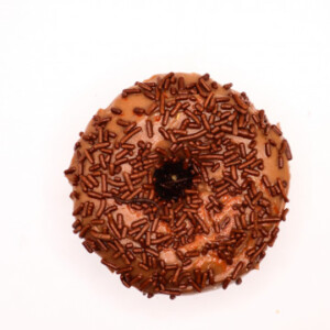 Protein Donut Chocolate Sprinkles